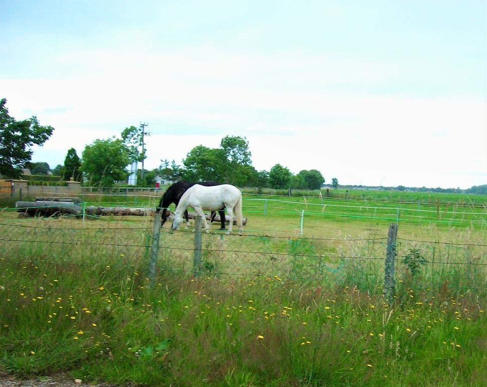 Riverview Country Park Forres Exterior photo